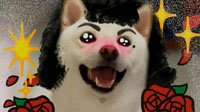 狂野彪牛