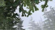 ˽