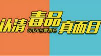 暢游飛行模擬器